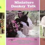 miniaturedonkeytalk