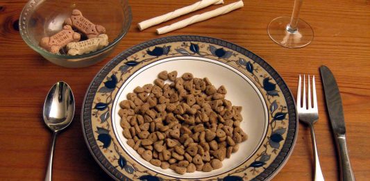 Do You Like Dog Food?